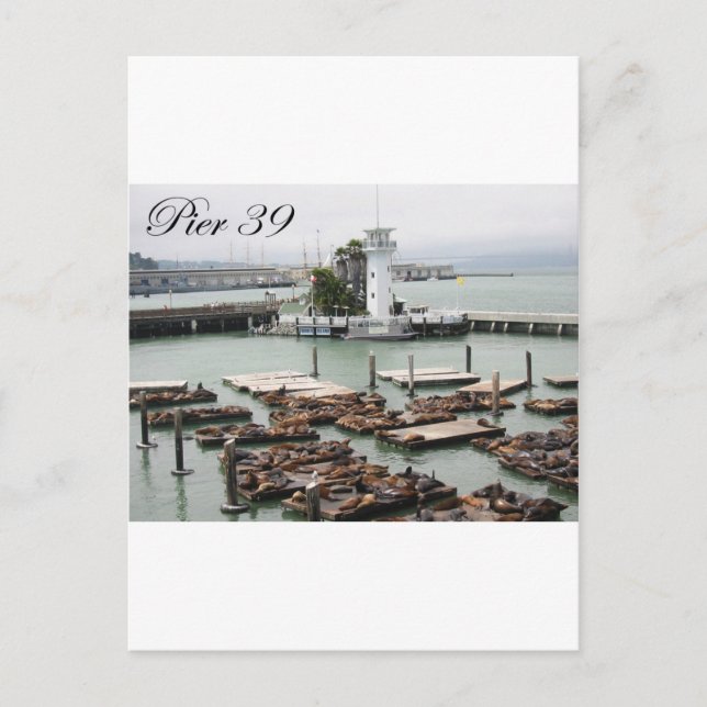 Pier 39 postcard (Front)