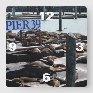 Pier 39 Sea Lions in San Francisco Square Wall Clock