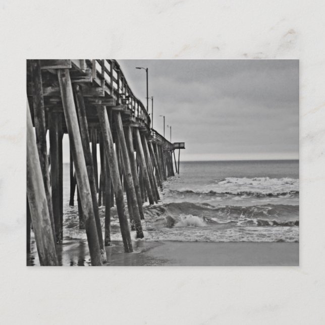 Pier by Shirley Taylor Postcard (Front)