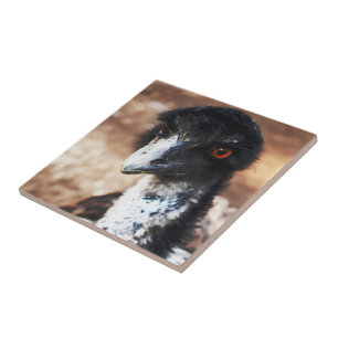 Piercing Eyes of the Outback Tile
