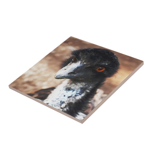 Piercing Eyes of the Outback Tile (Side)