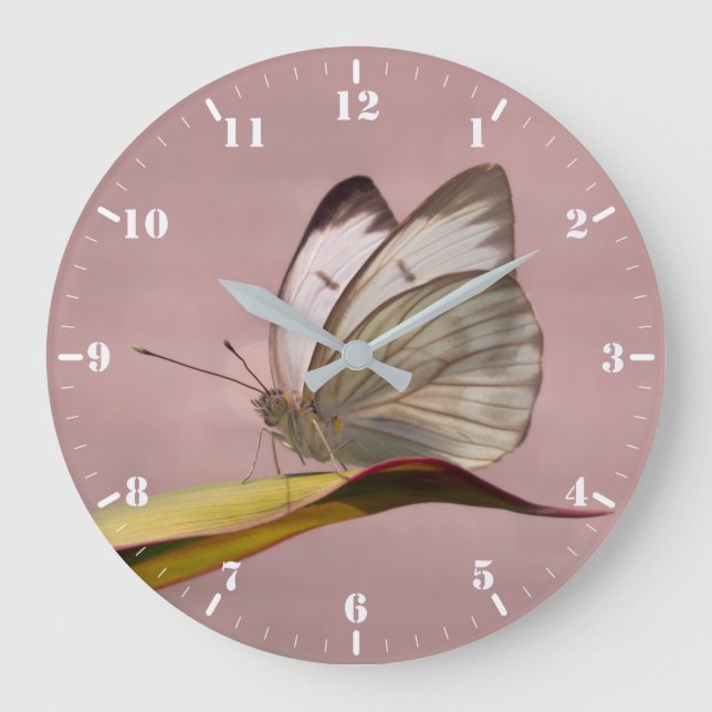 Pieris garden white butterfly large clock (Front)
