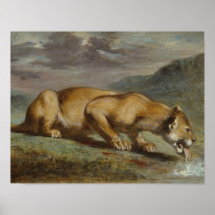 Pierre Andrieu - Wounded Lioness Poster