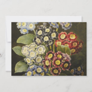 Pierre Joseph Redoute - A Bouquet Of Auriculas