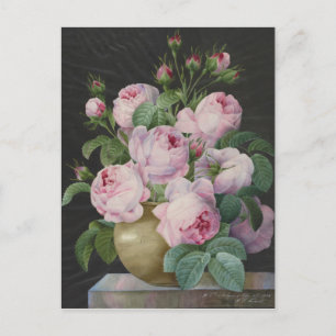 Pierre Joseph Redoute - Pink Roses In A Vase Postcard