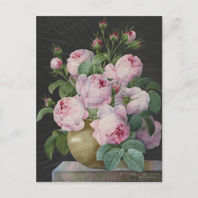 Pierre Joseph Redoute - Pink Roses In A Vase Postcard (Front)