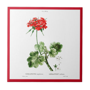 PIERRE-JOSEPH REDOUTÉ "RED GERANIUM" CERAMIC TILE