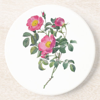 Pierre Joseph Redoute Roses Coaster