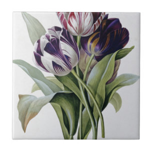 Pierre Joseph Redoute - Tulips Tile