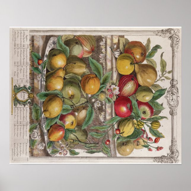 Pieter Casteels, Twelve Months of Fruits, April Poster (Front)