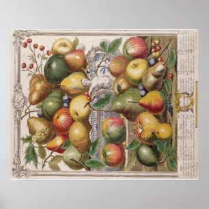Pieter Casteels, Twelve Months of Fruits" January Poster