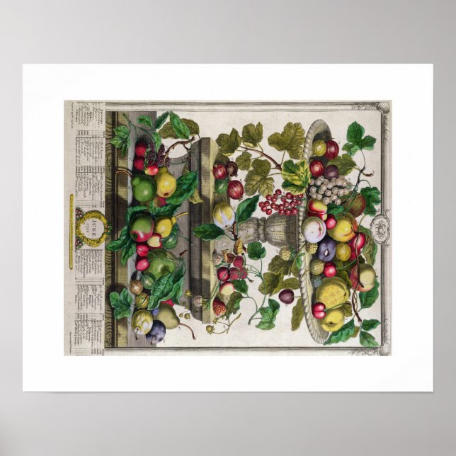 Pieter Casteels, Twelve Months of Fruits, June Poster (Front)