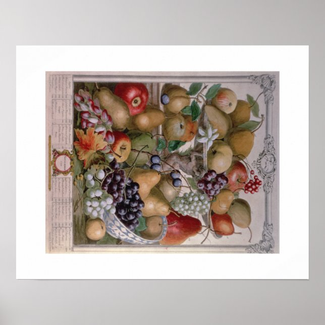 Pieter Casteels, Twelve Months of Fruits November Poster (Front)