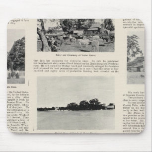 Piezzi Ranch, Harris Vineyard, California Mouse Mat