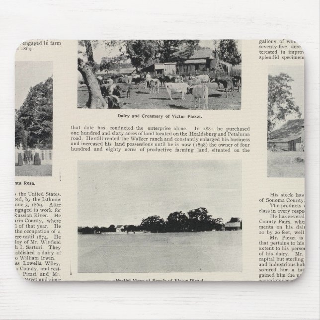 Piezzi Ranch, Harris Vineyard, California Mouse Mat (Front)