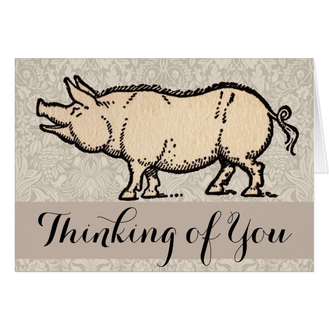 Pig Antique Piggy Cute Vintage Illustration (Front Horizontal)