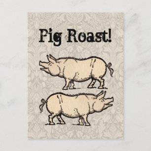 Pig Antique Piggy Cute Vintage Illustration Postcard