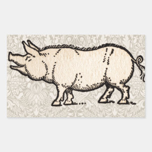 Pig Antique Piggy Cute Vintage Rectangular Sticker