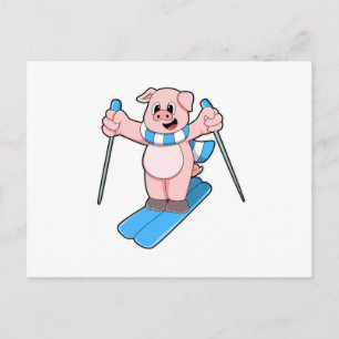 Pig as Skier with Ski Scarf & Ski poles Postcard