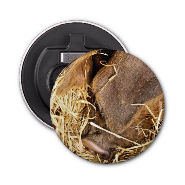 PIG BOTTLE OPENER (Front)