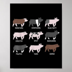 Pig Breed Show Pig Swine Show Stock Show Girl Pig Poster