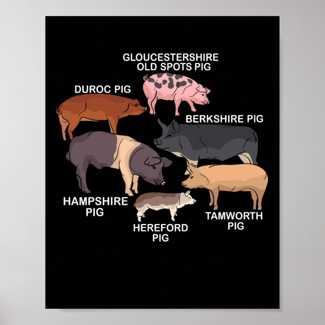 Pig Breeds Pig Lover Gift Men Farm Animal Pig Poster (Front)