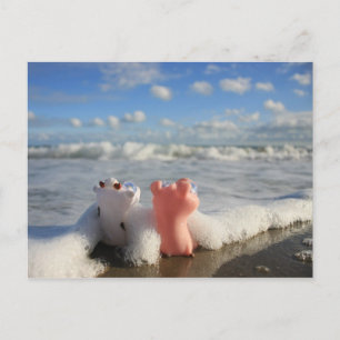 pig & cow at the beach postcard