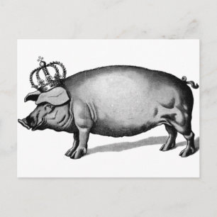Pig Crown Royal Queen Big Piggy Postcard