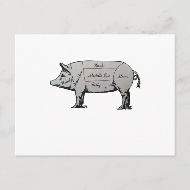 Pig Diagram Postcard (Front)