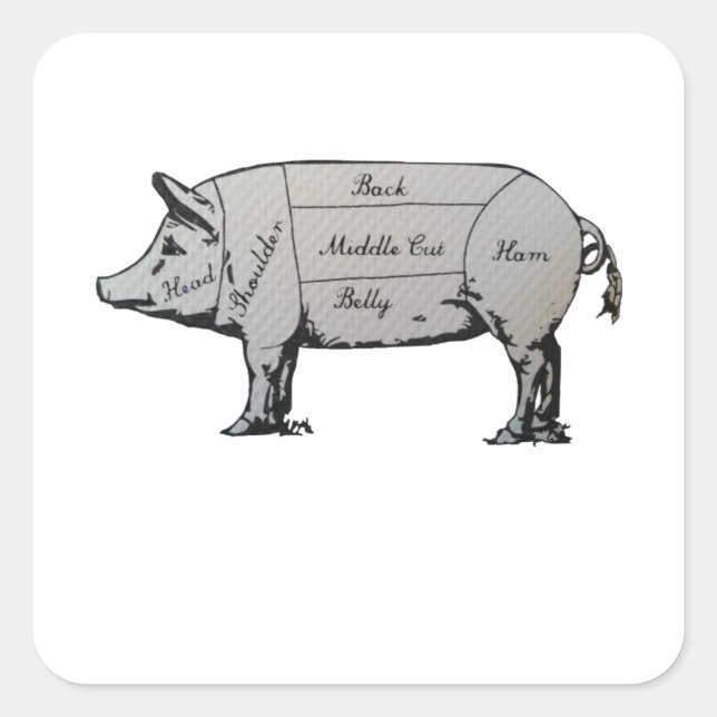 Pig Diagram Square Sticker (Front)