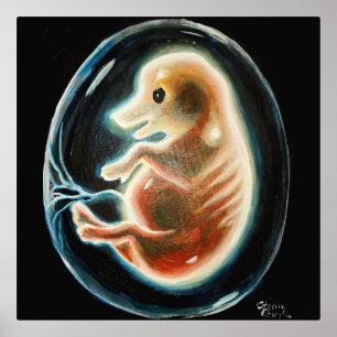 Pig embryo foil prints
