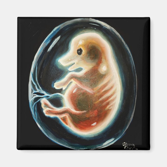 Pig embryo magnet (Front)
