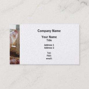 Pig Enjoying the Sun - Platinum Finish Business Card