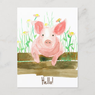 Pig Farm Animal Barnyard Fence Wildflowers Postcard