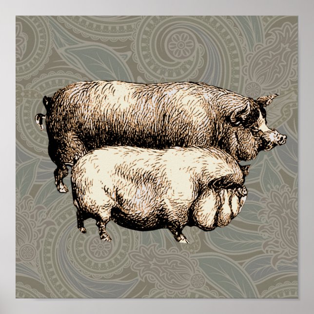 Pig Farm Country Antique Illustration Art Poster (Front)