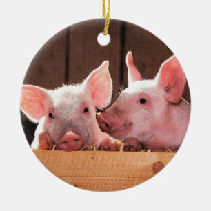 Pig Farm Piglets Ceramic Tree Decoration
