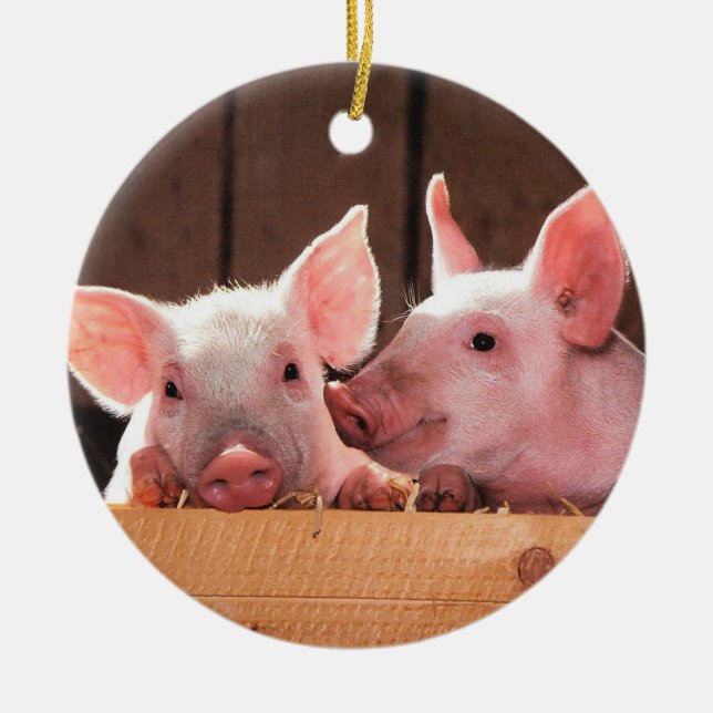 Pig Farm Piglets Ceramic Tree Decoration (Front)