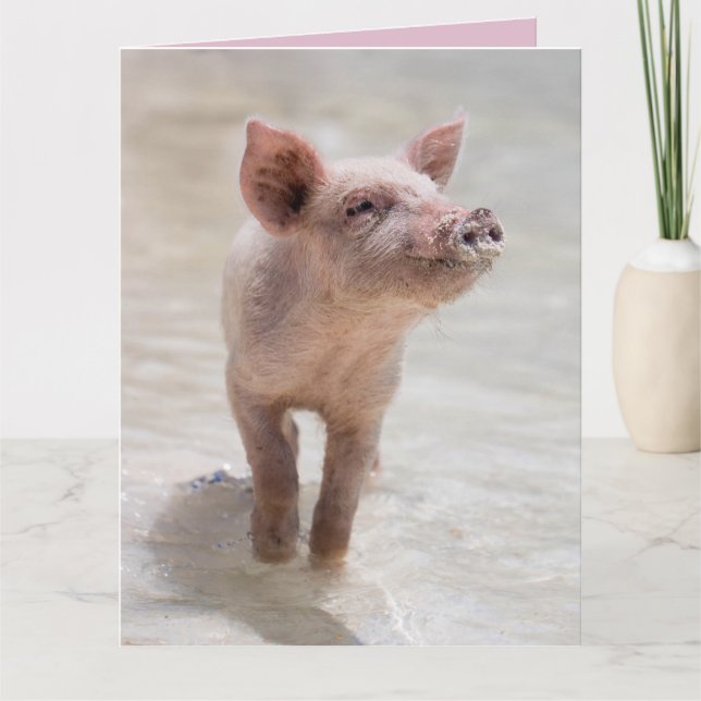 PIG HOG LOVE CARD CARDS (Front)