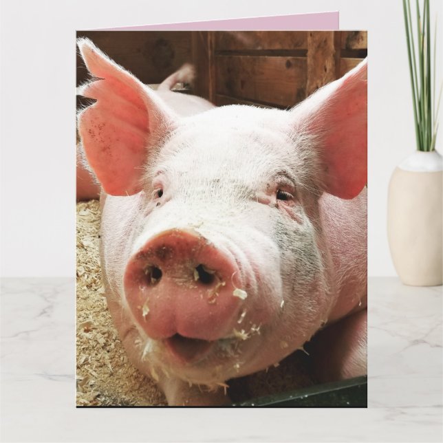 PIG HOG LOVE CARD CARDS (Front)