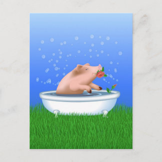 Pig in Bath Postcard