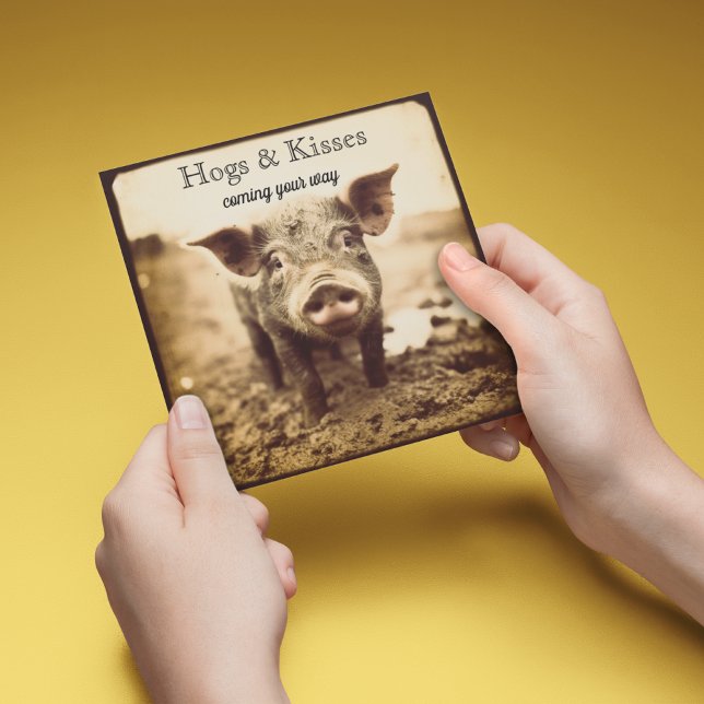 Pig in the Mud, hugs and kisses, customisable Holiday Card (Creator Uploaded)
