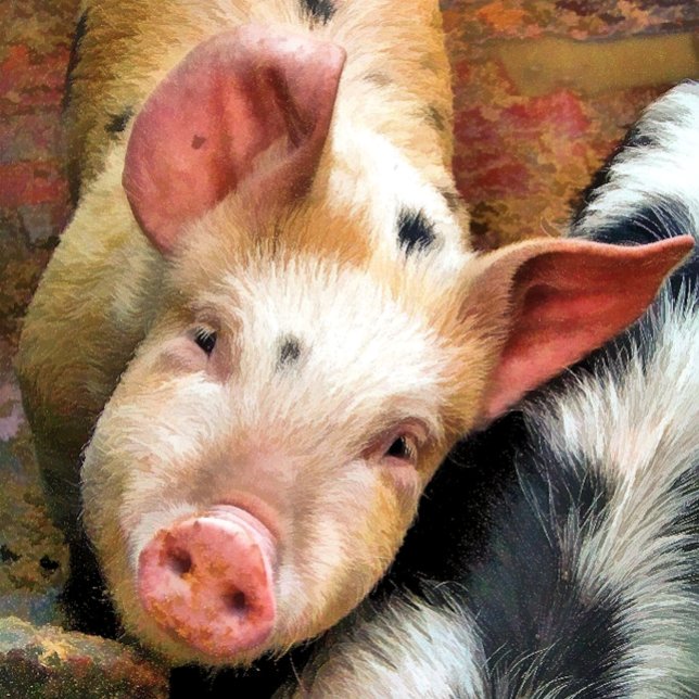 PIG KEY RING (Creator Uploaded)