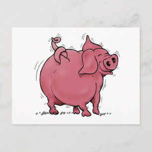 Pig Knot Postcard