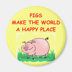 pig magnet