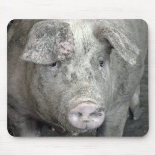 Pig Mouse Mat