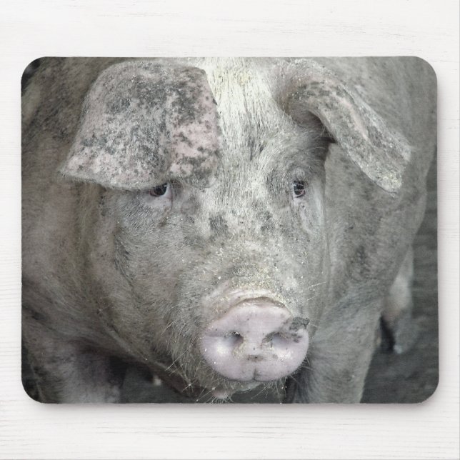 Pig Mouse Mat (Front)
