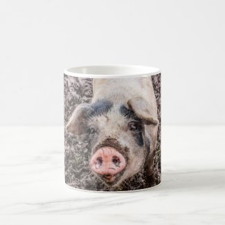 Pig Mug