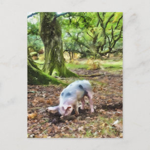 Pig Oil Painting-Style Postcard