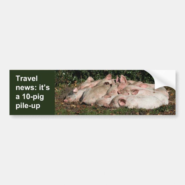 Pig pile-up bumper sticker (Front)