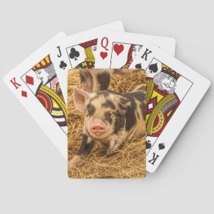 Pig Playing Cards